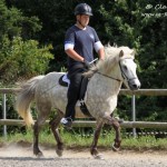 Waldrennach (11)