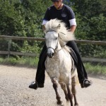 Waldrennach (12)