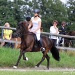 Waldrennach (3)