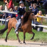 Waldrennach (5)