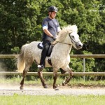 Waldrennach (8)