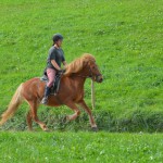 DSC_7322 Pandora